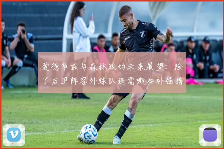 爱德华兹与森林狼的未来展望：除了后卫阵容外球队还需哪些补强措施