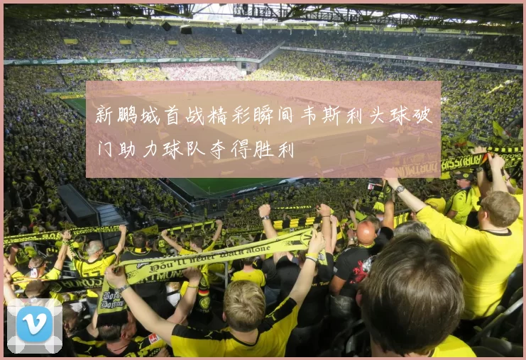 新鹏城首战精彩瞬间韦斯利头球破门助力球队夺得胜利